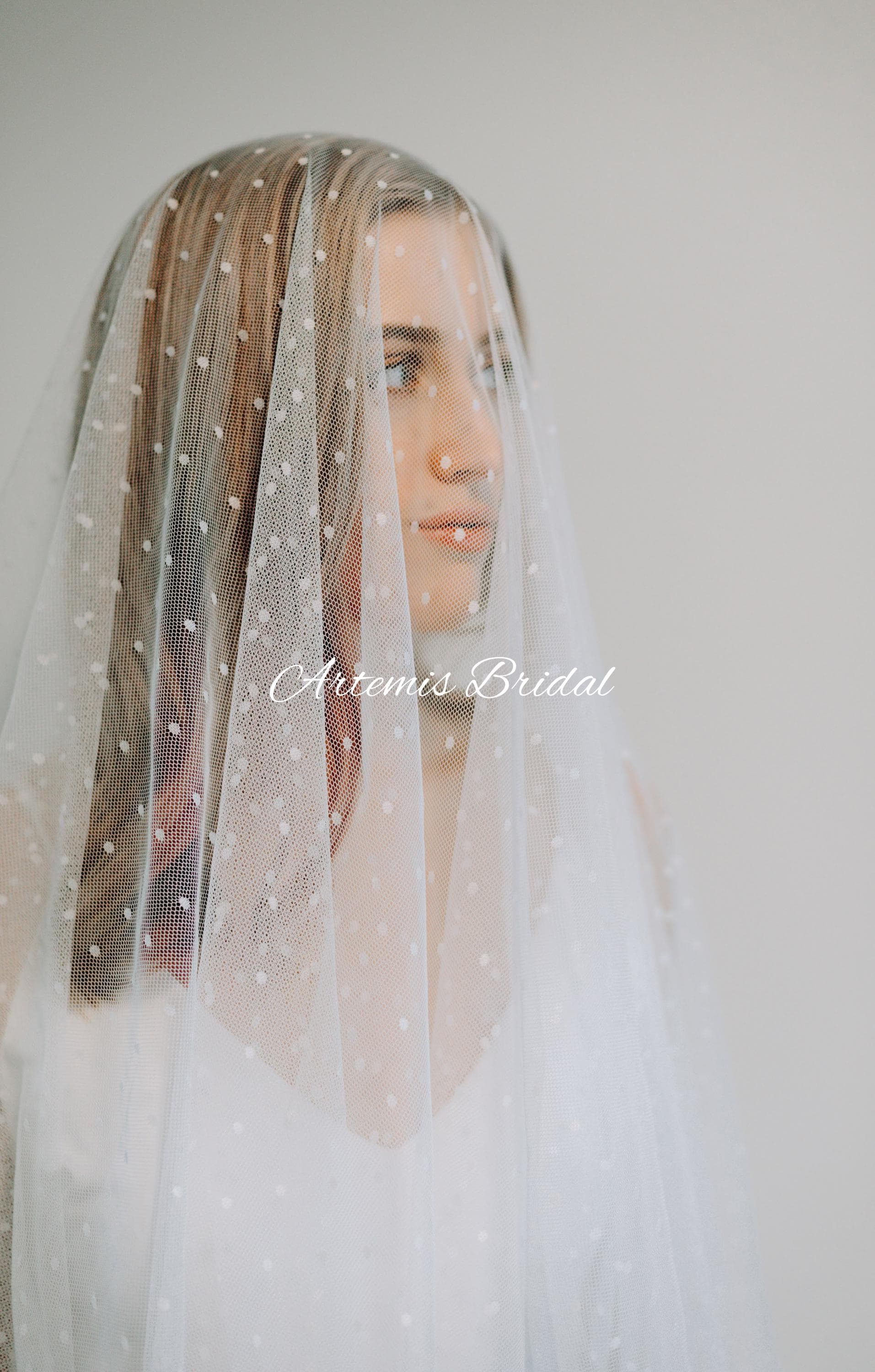Poppy Polka Dot Veil with Blusher