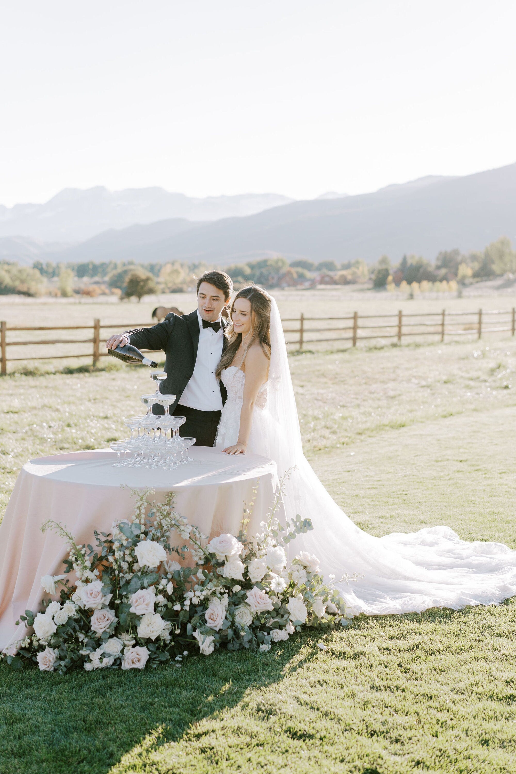 Extra Wide English Net Veil